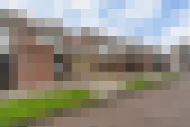 Kamille 25 Sneek thumbnail 41