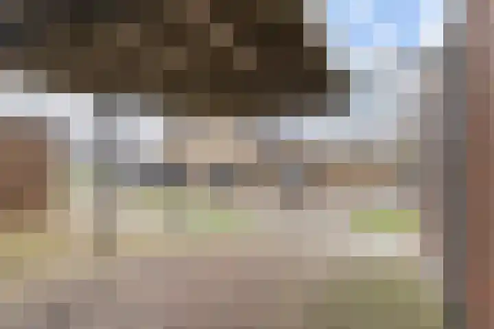 Kamille 25 Sneek thumbnail 42