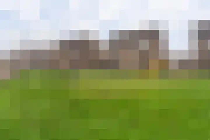 Kamille 25 Sneek thumbnail 43