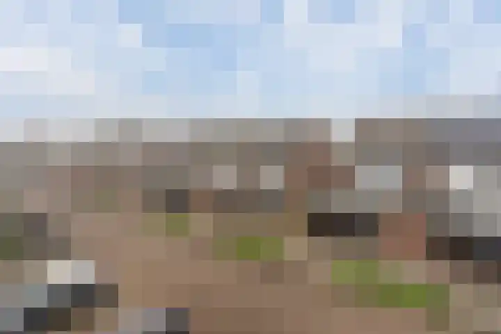 Kamille 25 Sneek thumbnail 44