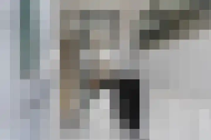 Kamille 25 Sneek thumbnail 5