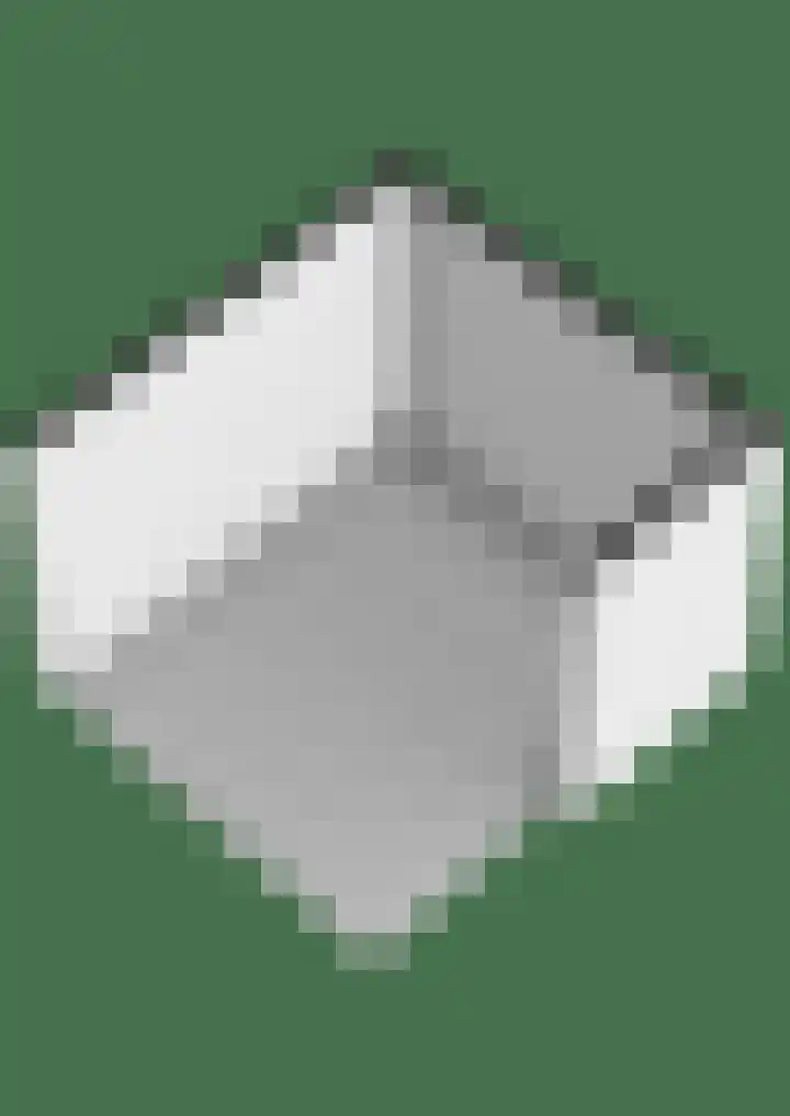 Kamille 25 Sneek thumbnail 55