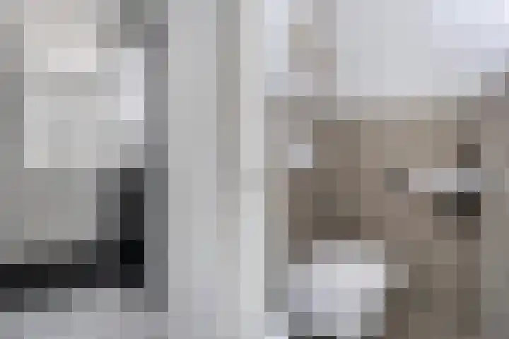 Kamille 25 Sneek thumbnail 6
