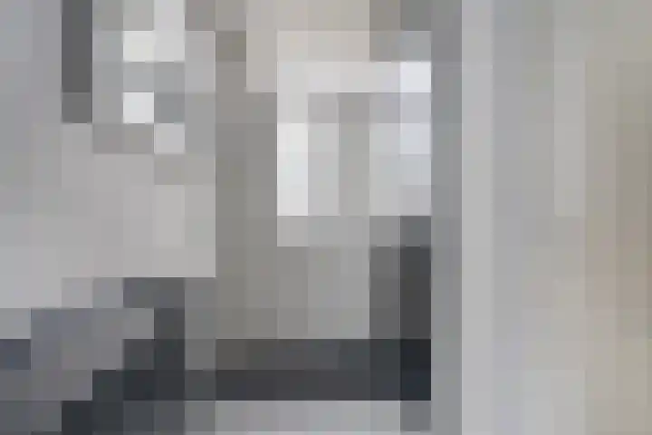 Kamille 25 Sneek thumbnail 7