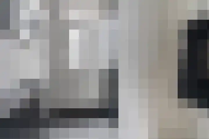Kamille 25 Sneek thumbnail 8