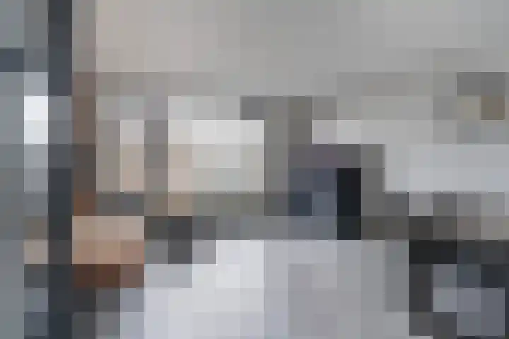 Kamille 25 Sneek thumbnail 9