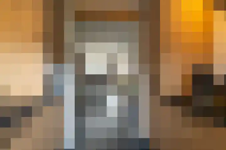 Kamille 27 Sprang-Capelle thumbnail 10