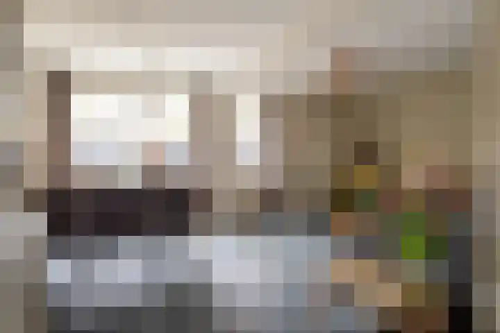 Kamille 27 Sprang-Capelle thumbnail 12
