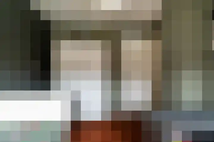 Kamille 27 Sprang-Capelle thumbnail 20