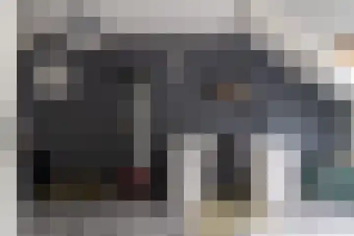 Kamille 27 Sprang-Capelle thumbnail 27