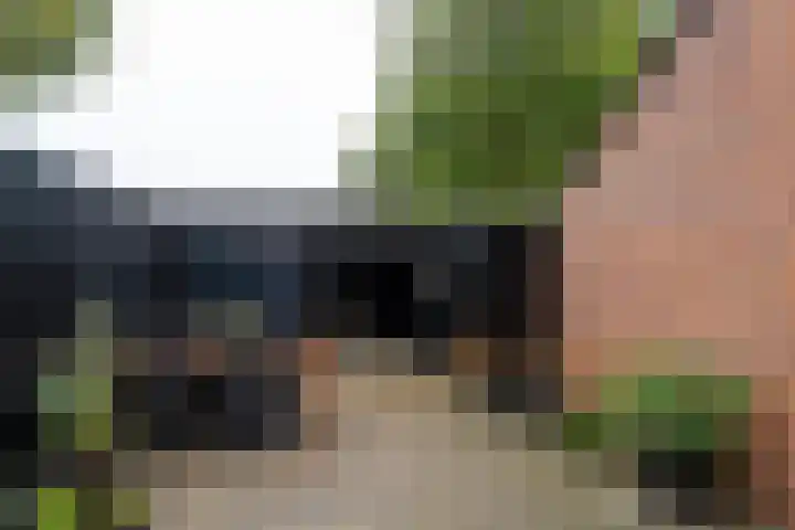 Kamille 27 Sprang-Capelle thumbnail 30
