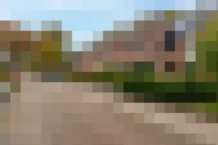 Kamille 27 Sprang-Capelle thumbnail 4