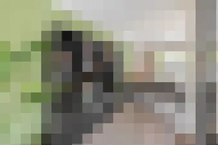 Kamille 27 Udenhout thumbnail 12