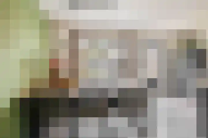 Kamille 27 Udenhout thumbnail 13