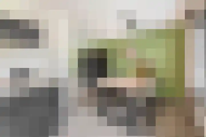 Kamille 27 Udenhout thumbnail 14