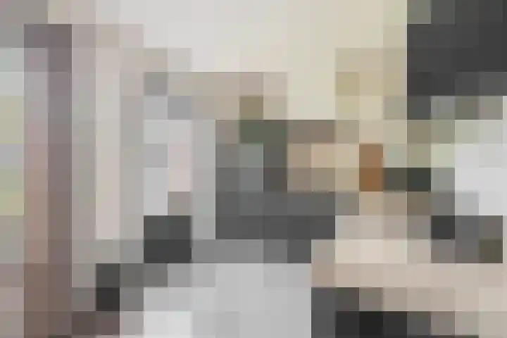 Kamille 27 Udenhout thumbnail 17