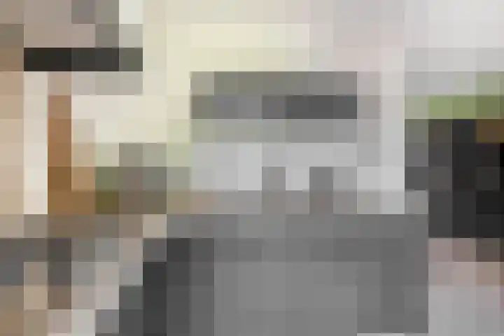 Kamille 27 Udenhout thumbnail 18