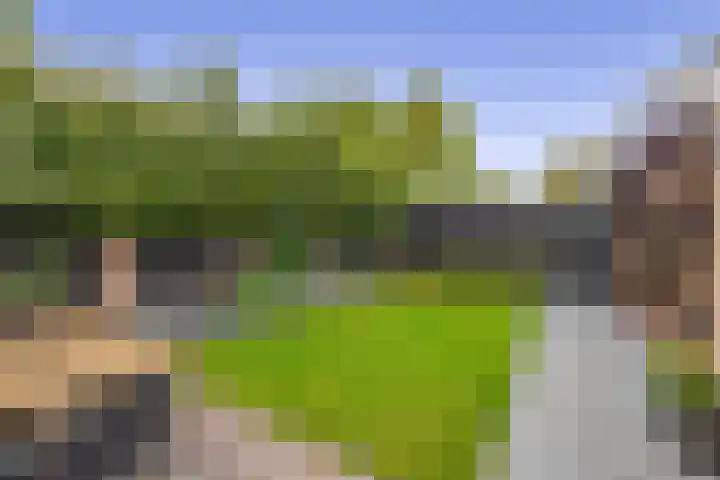 Kamille 27 Udenhout thumbnail 20