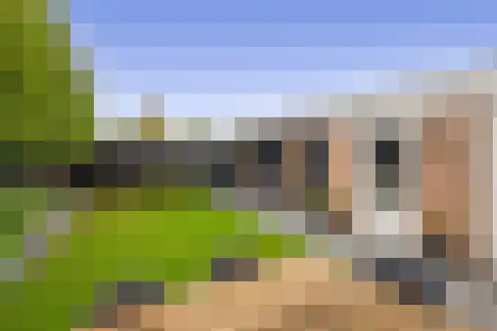Kamille 27 Udenhout thumbnail 21
