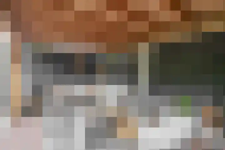Kamille 27 Udenhout thumbnail 24