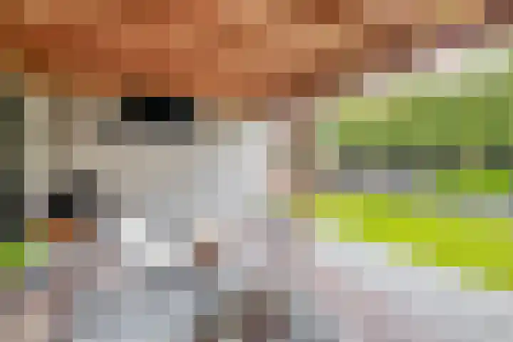 Kamille 27 Udenhout thumbnail 25