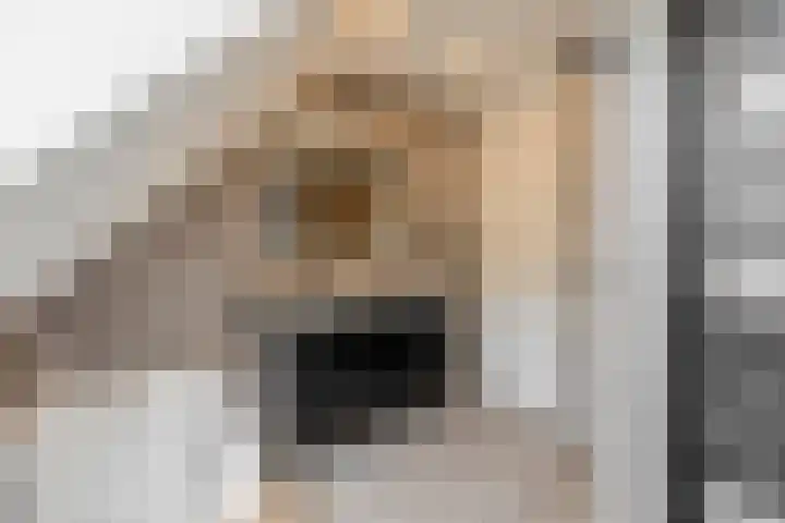 Kamille 27 Udenhout thumbnail 31