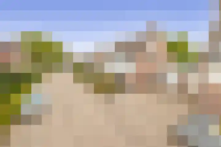 Kamille 27 Udenhout thumbnail 37
