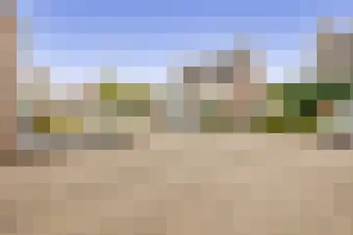 Kamille 27 Udenhout thumbnail 38