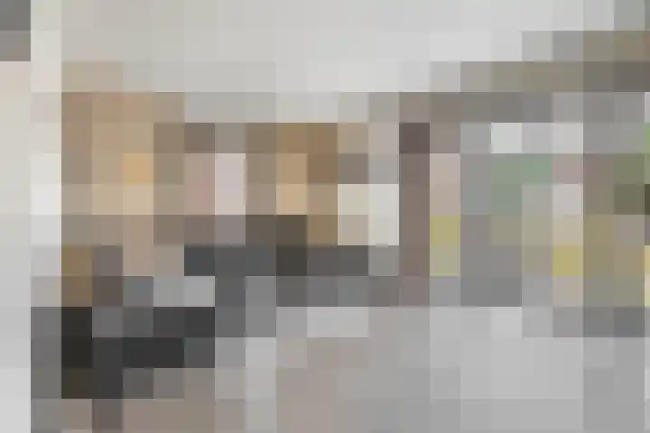 Kamille 27 Udenhout thumbnail 6