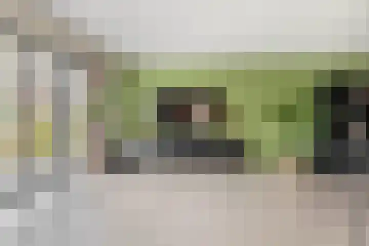 Kamille 27 Udenhout thumbnail 8