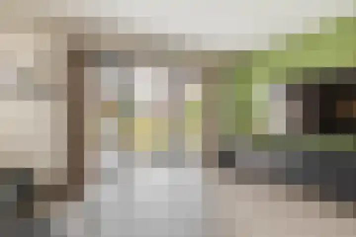 Kamille 27 Udenhout thumbnail 9