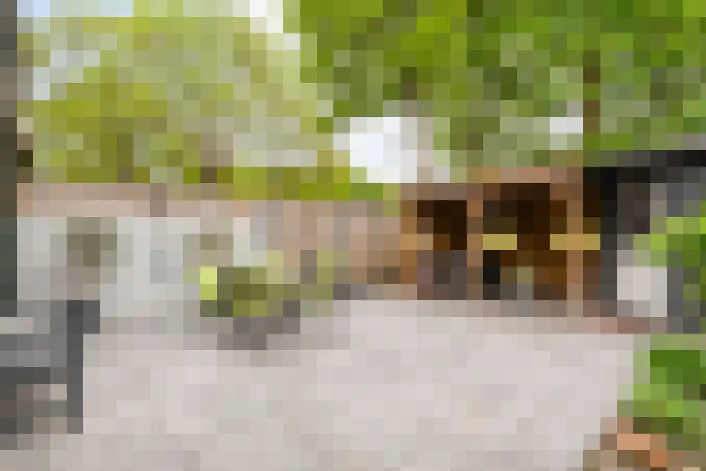 Kamille 28 Raalte thumbnail 26