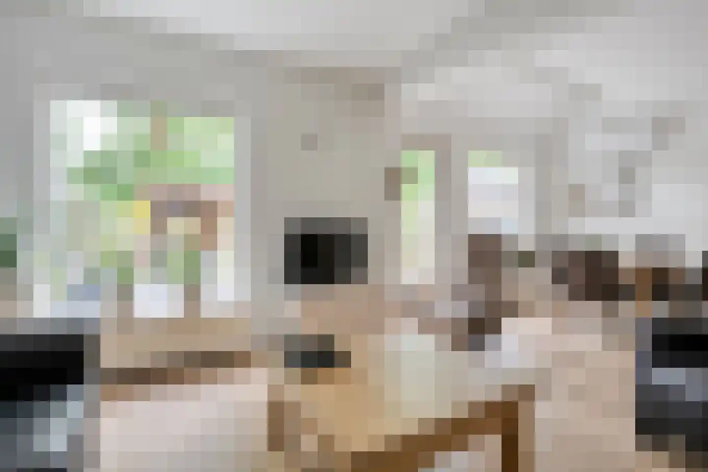 Kamille 28 Raalte thumbnail 6