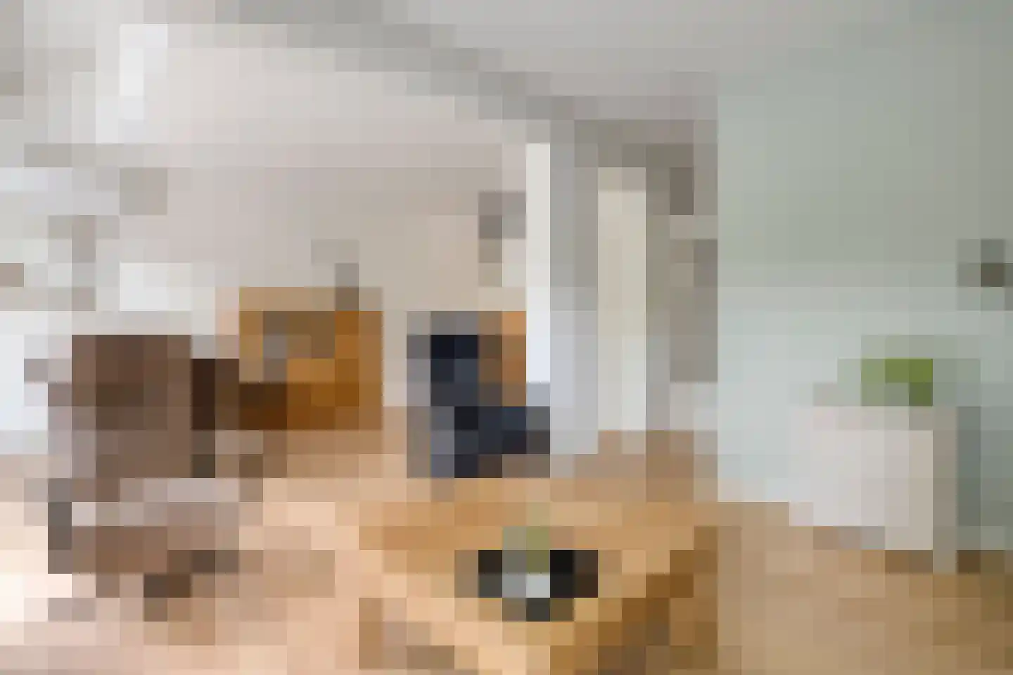 Kamille 28 Raalte thumbnail 7
