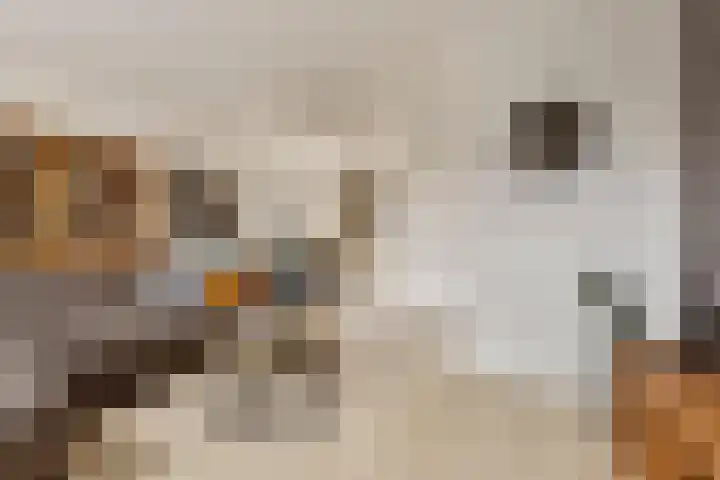 Kamille 28 Vlijmen thumbnail 11