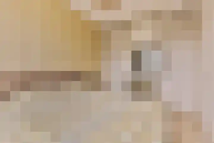 Kamille 28 Vlijmen thumbnail 17