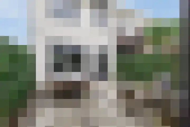 Kamille 28 Vlijmen thumbnail 28