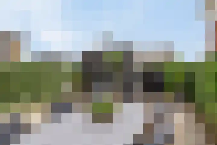 Kamille 28 Vlijmen thumbnail 29
