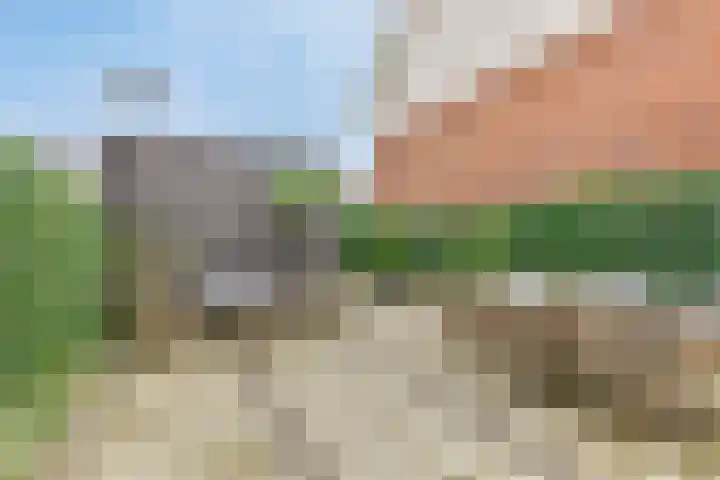 Kamille 28 Vlijmen thumbnail 30