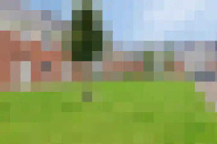 Kamille 28 Vlijmen thumbnail 37