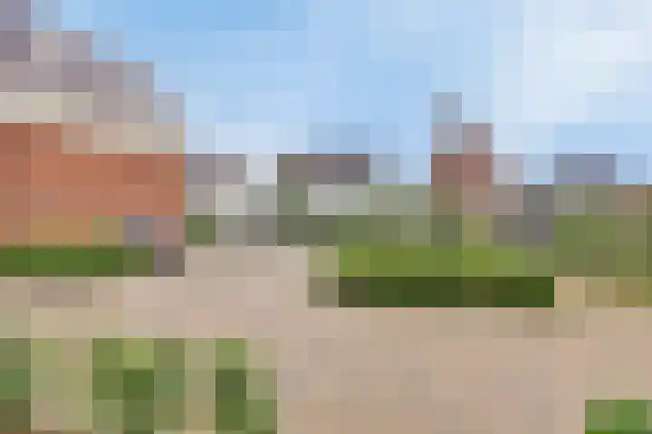 Kamille 28 Vlijmen thumbnail 38