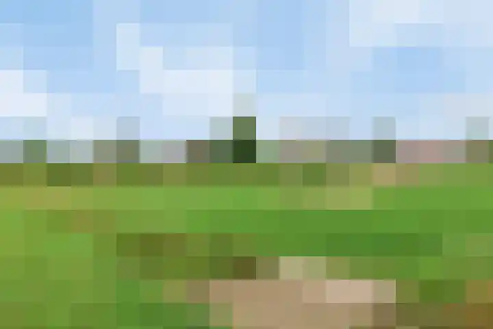 Kamille 28 Vlijmen thumbnail 39