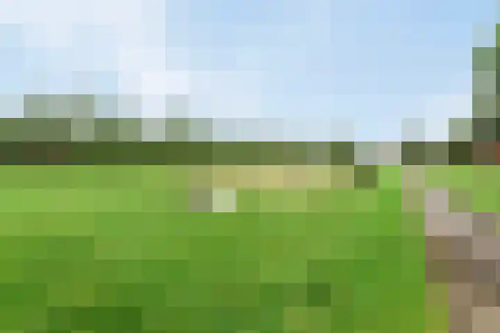 Kamille 28 Vlijmen thumbnail 40