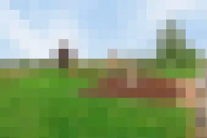 Kamille 28 Vlijmen thumbnail 41
