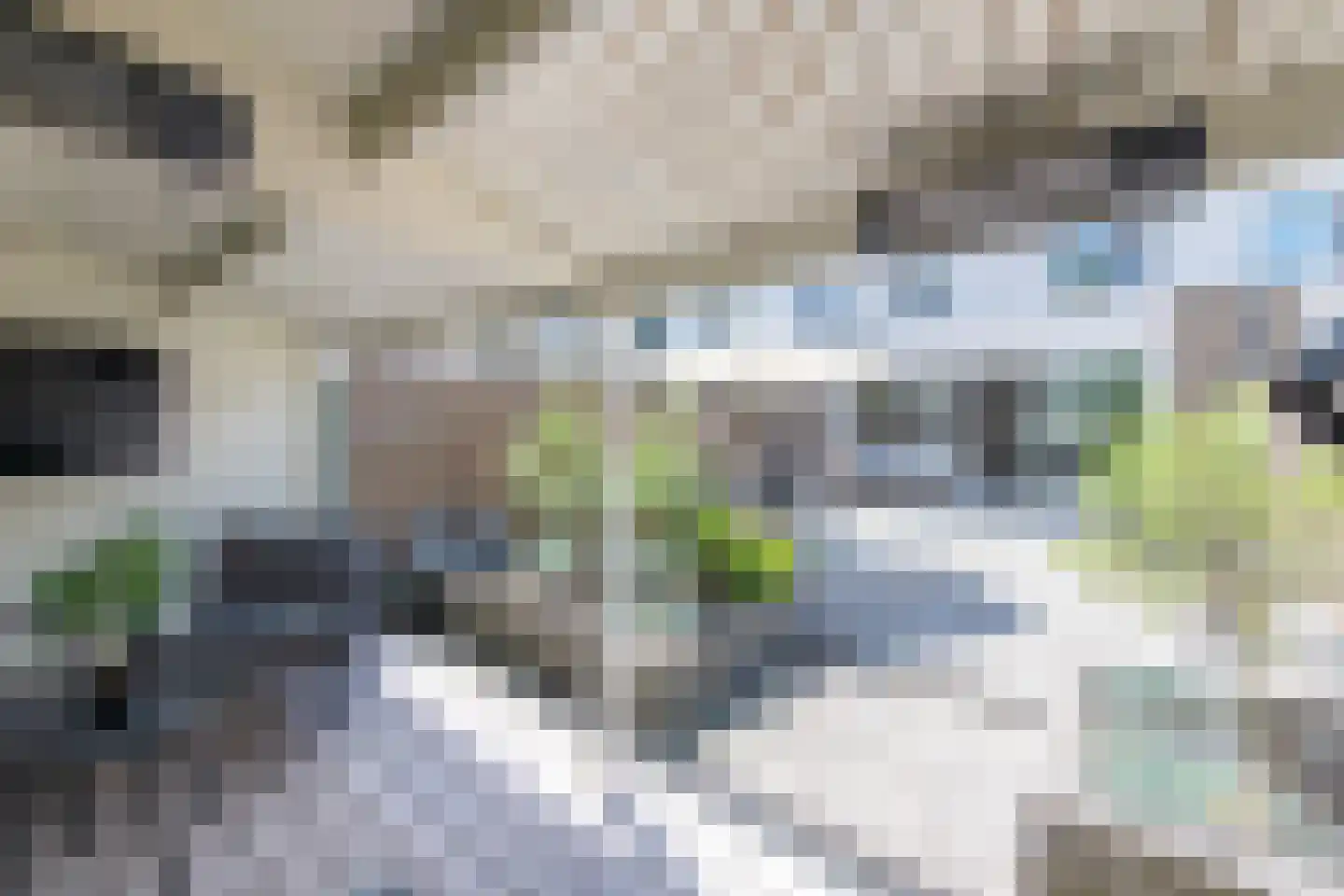 Kamille 28 Zwaag thumbnail 37