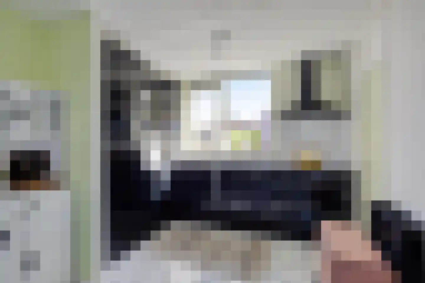 Kamille 29 Opmeer thumbnail 10