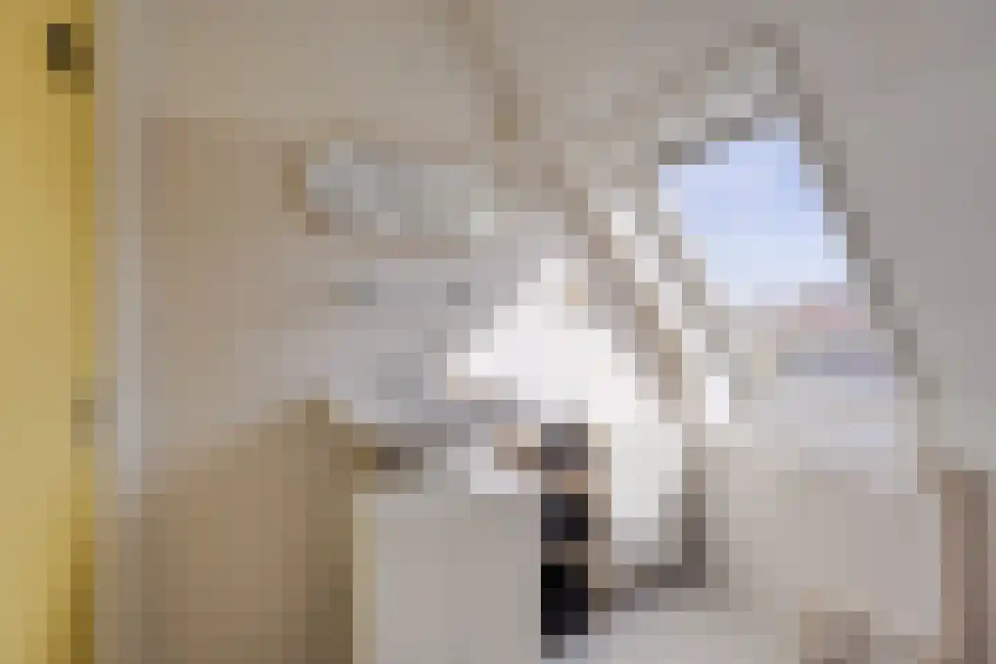 Kamille 29 Opmeer thumbnail 20