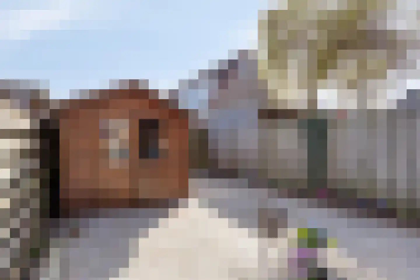 Kamille 29 Opmeer thumbnail 26
