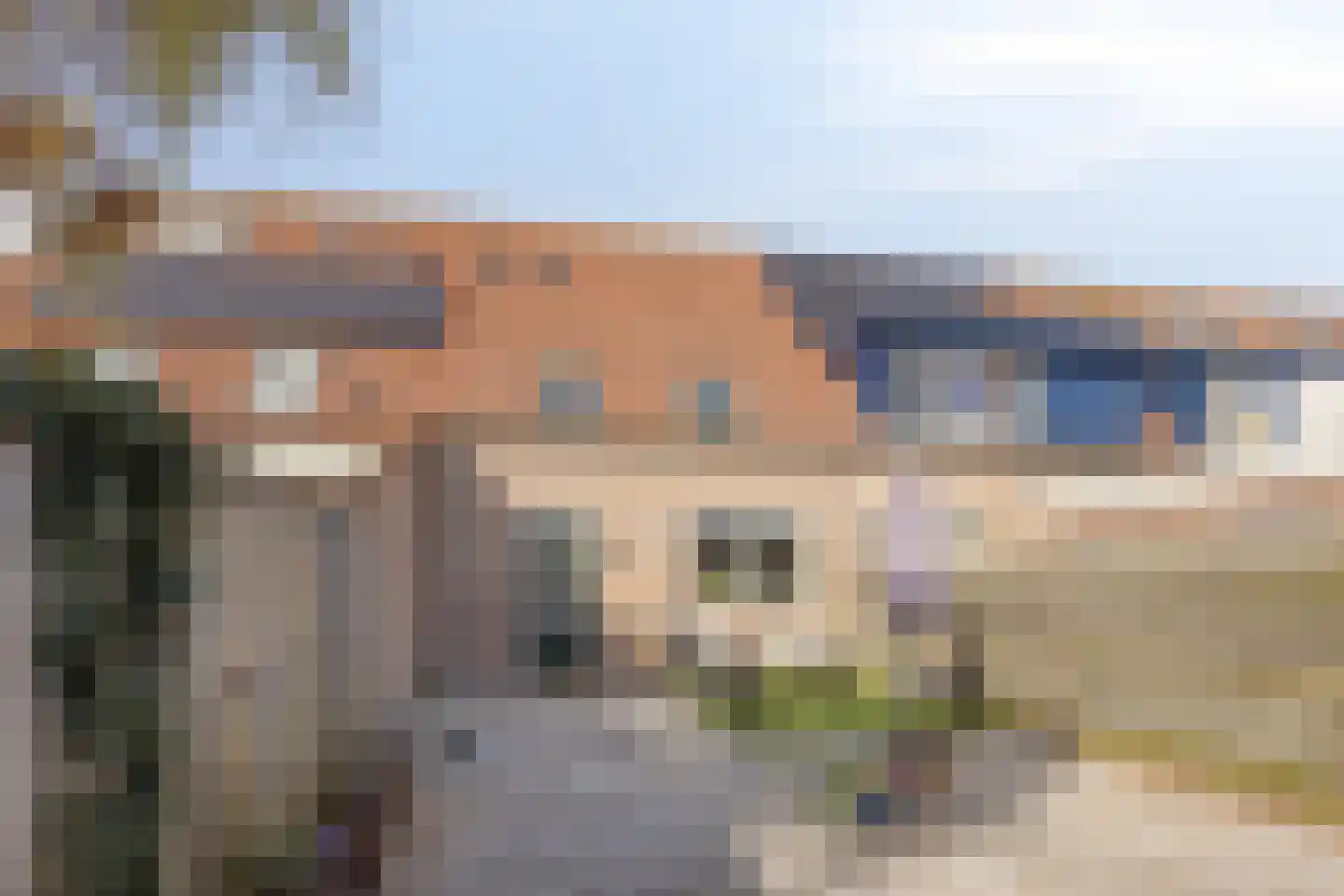 Kamille 29 Opmeer thumbnail 28