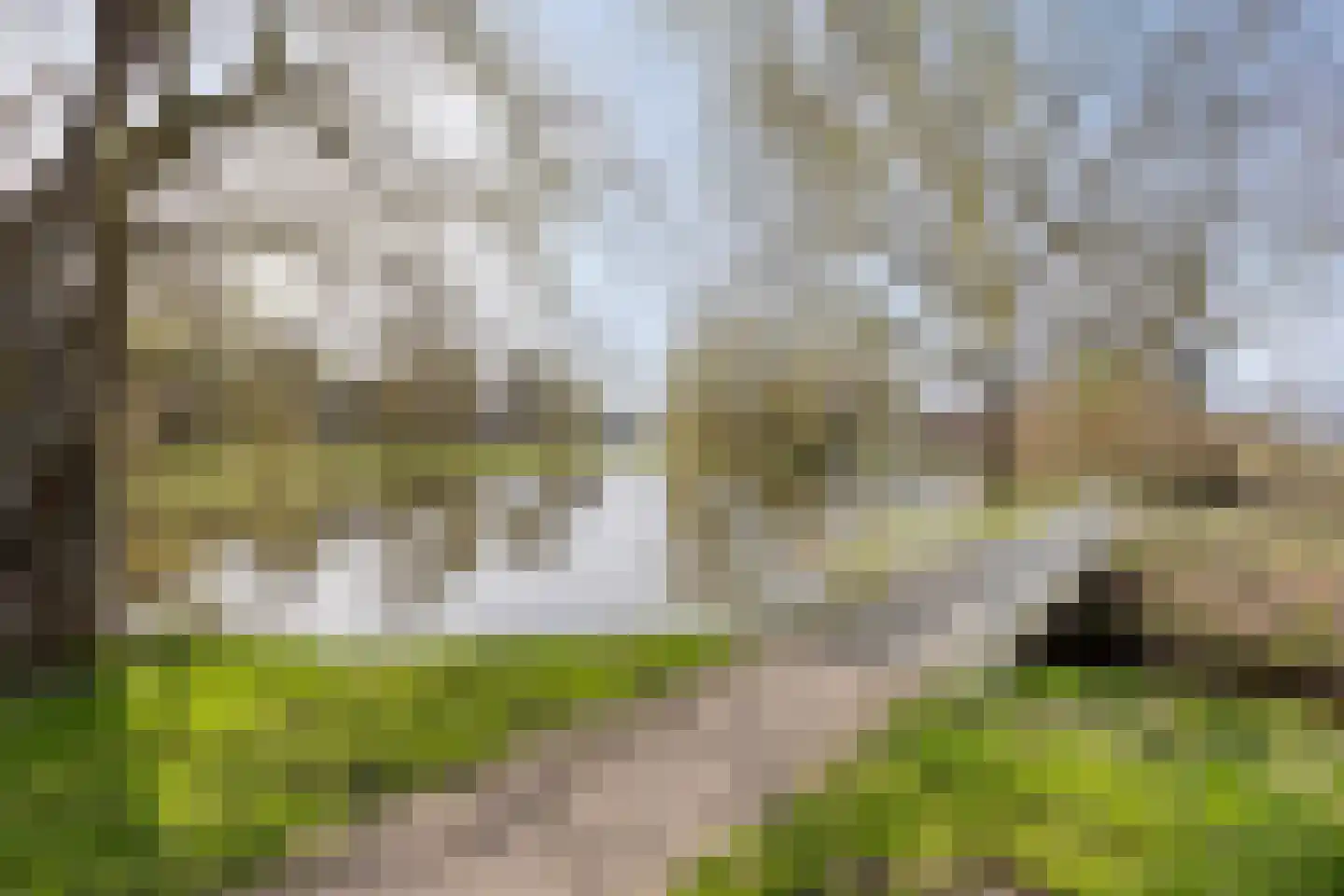 Kamille 29 Opmeer thumbnail 30